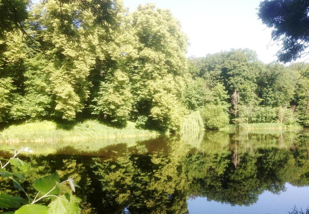 Carmina Am See Karnin  ภายนอก รูปภาพ